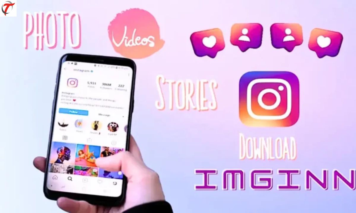 From Imgsed to Imginn: Revolutionizing Your Instagram Experience!